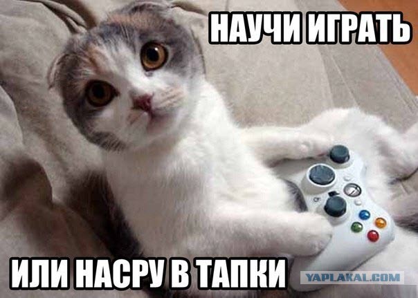 Злые шутки или минутка сарказма на ЯП-е, 16+