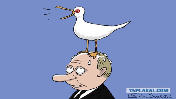 Немного политических карикатур