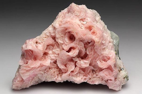 Интересные и веселые картинки