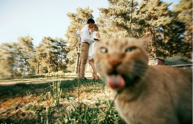 Подборка прикольных фото