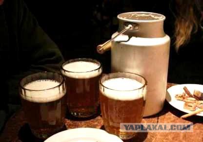 Чехи возмущены "чешским пивом" от Балтики