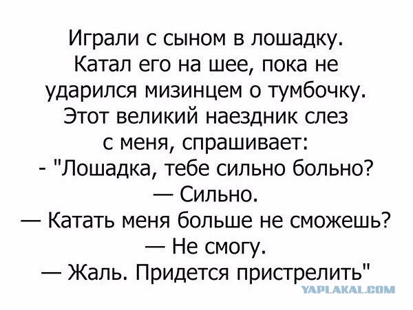 Небольшая подборка забавных картинок