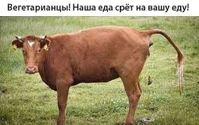 Шах и мат, веганы! Действительно ли нужно перестать есть мясо? 10 опровергнутых законов вегетарианства