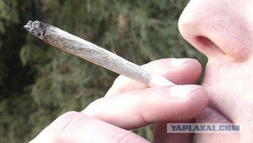 Как меня на алкоголь продували