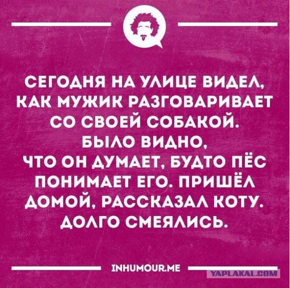 20 человек, которых застукали в самый неподходящий момент