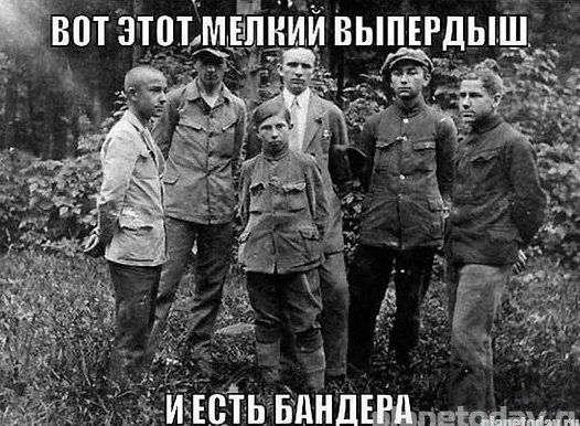 Подборка картинок с юмором "на любителя"