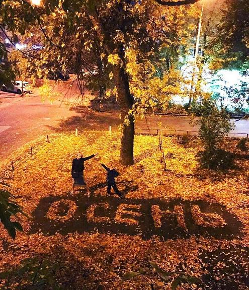 Подборка интересных и веселых картинок