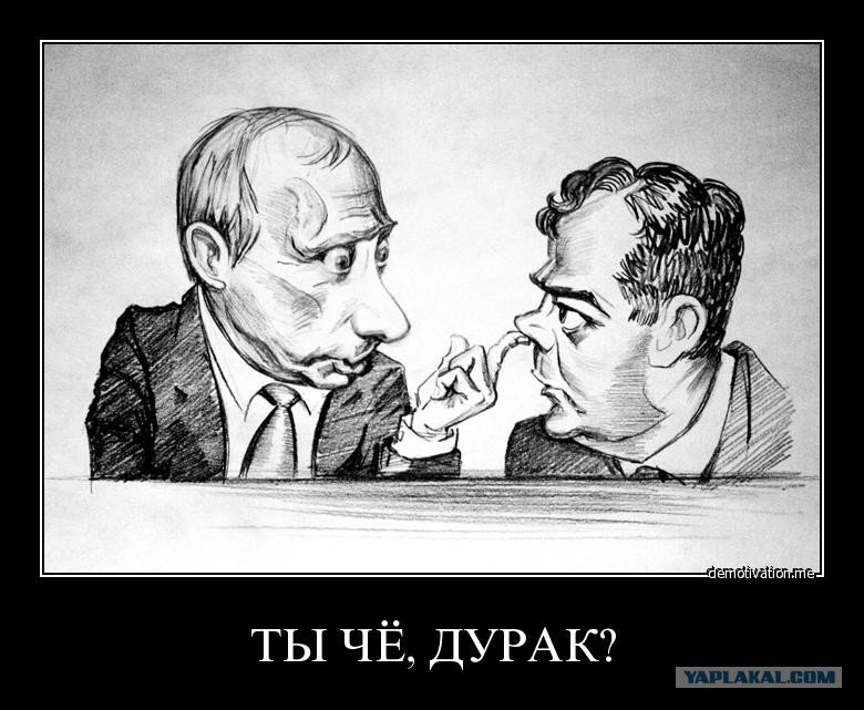 Если человек не пьет поневоле задумываешься. Карикатура дурак. Карикатуры на Путина и Медведева. Шарж на Путина и Медведева. Если человек не пьет.