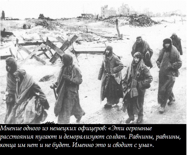 Исторический стёб для взрослых