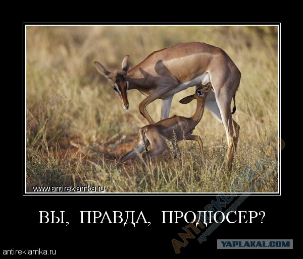 22-летняя модель Катя, выпавшая из окна дубайского отеля, записала обращение к маме