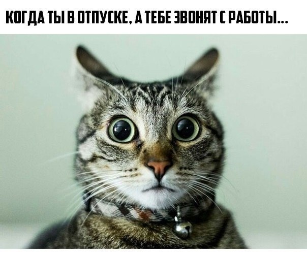 Итоги проверки пользователей