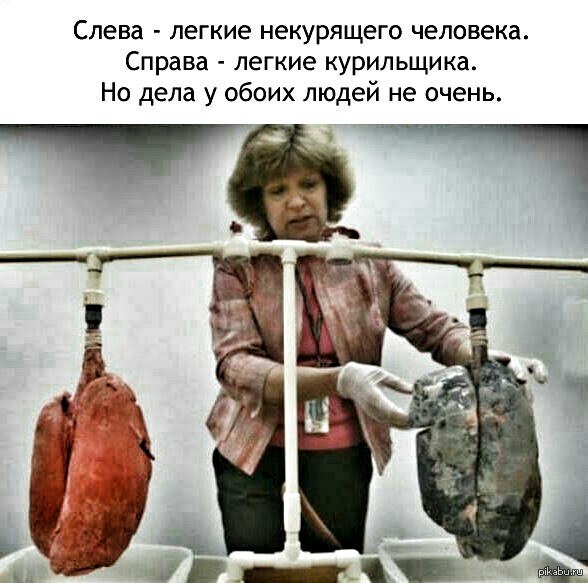Печень алкоголика, спившегося крафтовым пивом