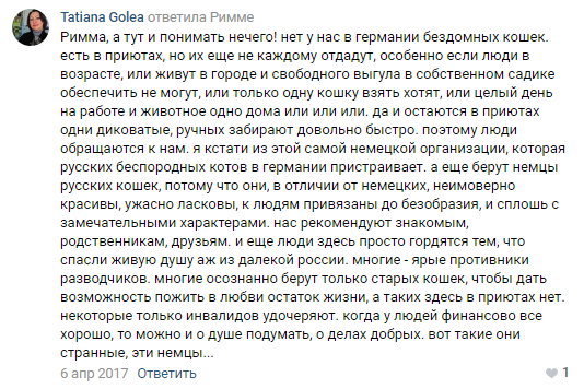Помогите вернуть кота! Приют "Преданное сердце" украл кота и не отдает!-2