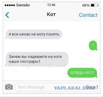 Вещи, которые будут понятны только тем, кто делит свою жилплощадь с котом