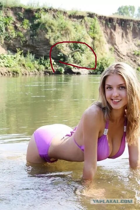 Девушки на природе