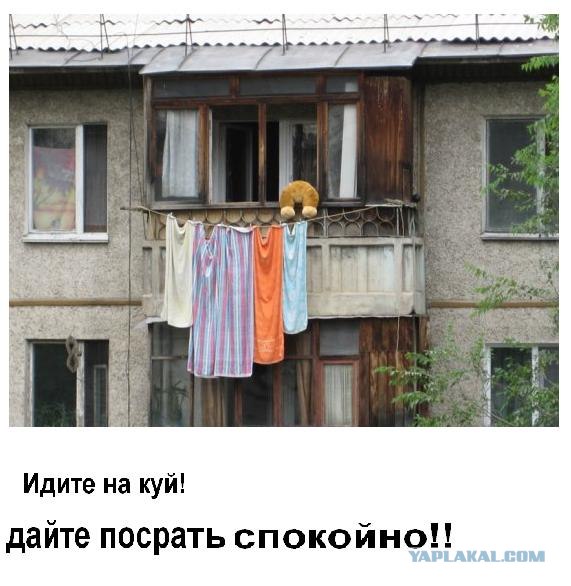 Конкурс: подпись к картинке