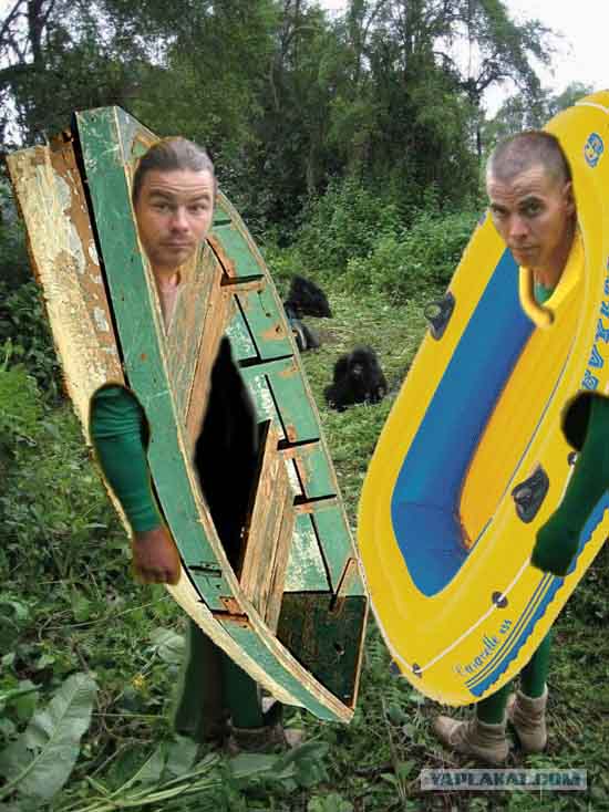 Друзья обезьян