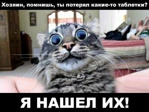 Бредзона 03.11.2020