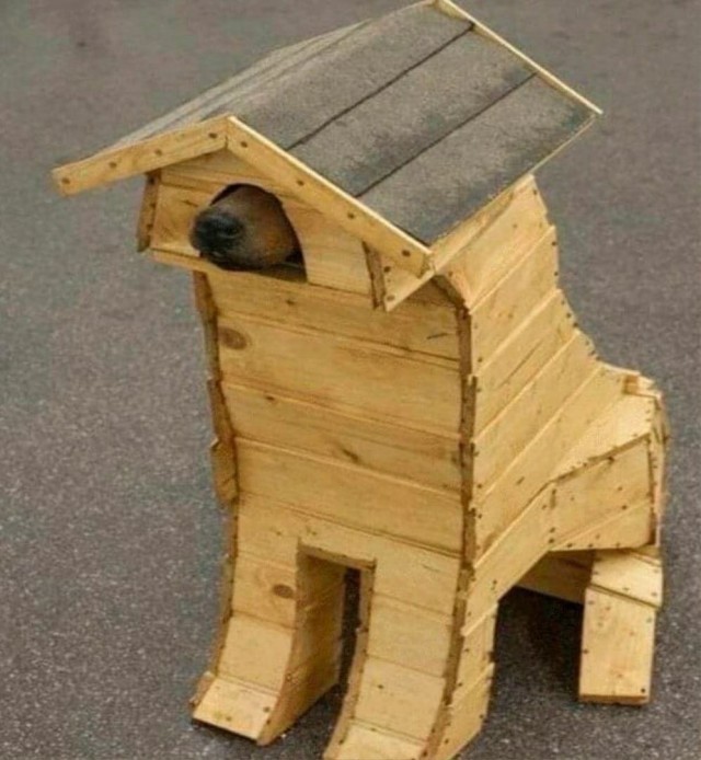 Странные картинки