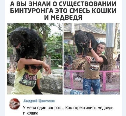Картинки и мемы для настроения 004