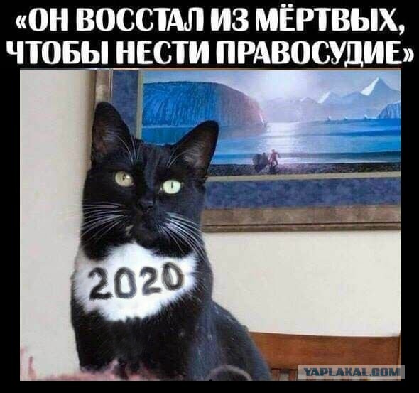Картинки с надписями и всякие жизненные фразы 12.1.21