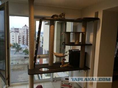 Домик для котейки