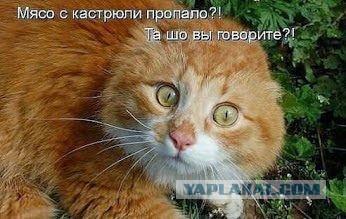 (G)old 5