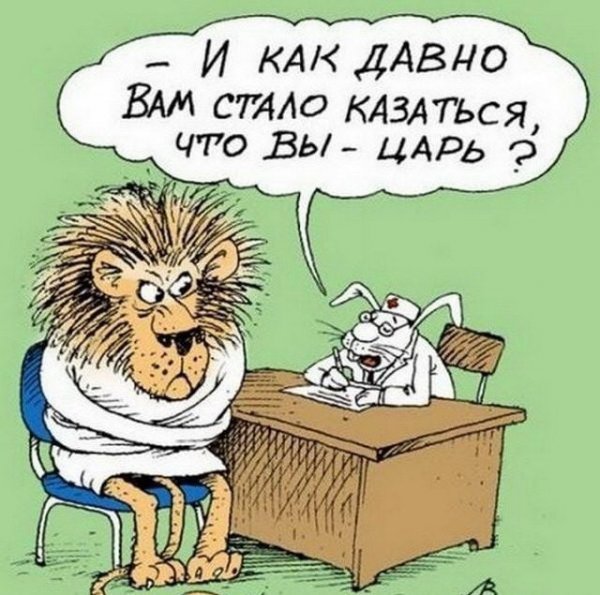 Картинки и мемы 08.10.2021