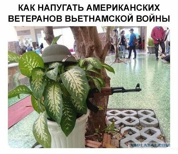 Картинки и мемы для настроения 12.10.2021
