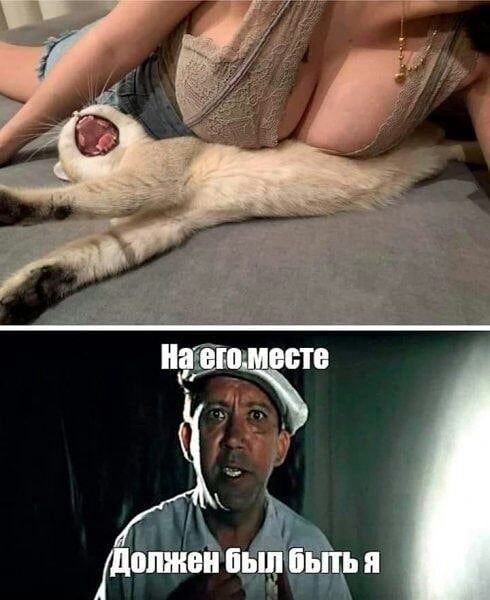 Пятница. И немного слегка пошлых картинок с надписями и без 16+ (29.10)