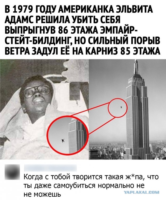 Так себе картинки 30.10.21