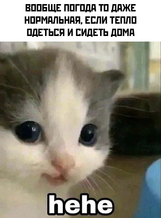 Чуток картинок 16.12.21