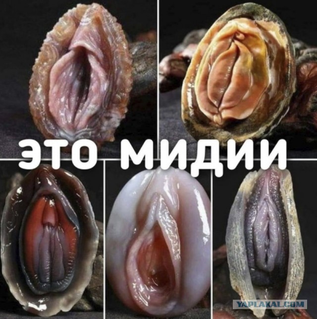 16 раз, когда природе стало скучно и она наделала разных диковинных штук