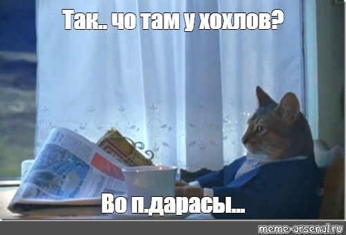 Российским кошкам запретили участвовать в международных соревнованиях