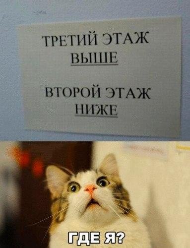 На мемы надейся, а сам не плошай! 12.02.22