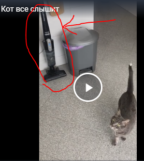 Кота не обманешь