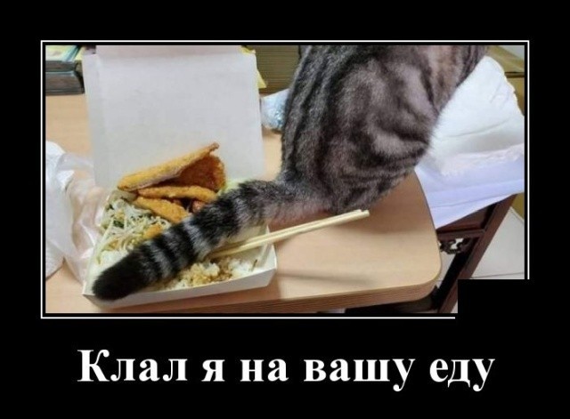 Картинки с надписями 31.07.22