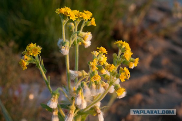Утро на рыбалке.