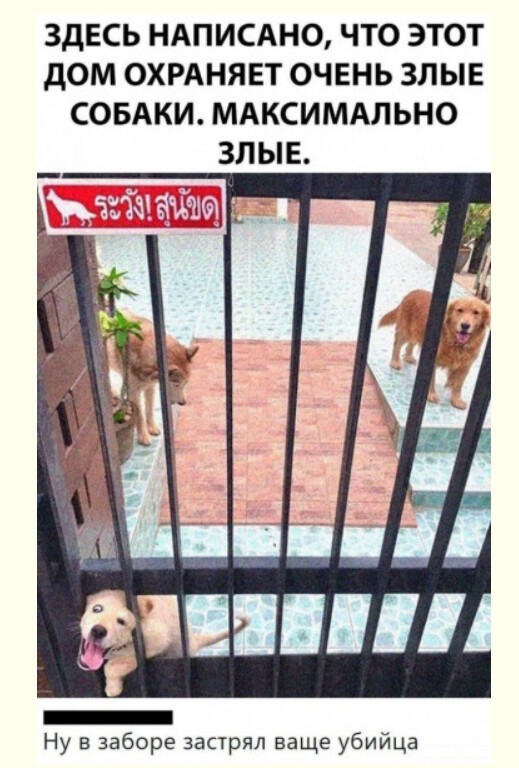 Баянисто-небаянистый юмор 18.08.22
