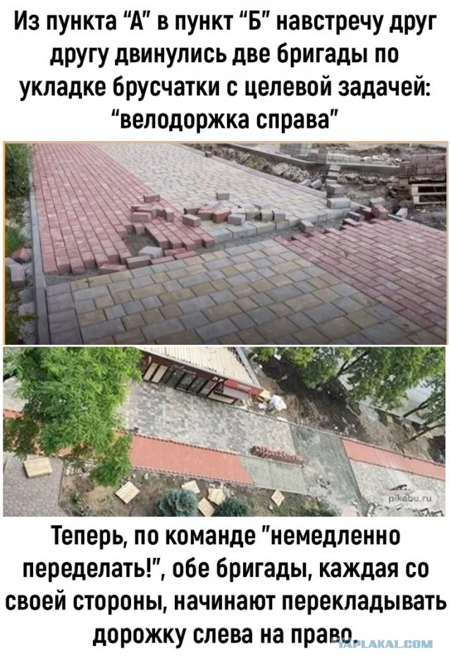 Так себе картинки 10.10.22