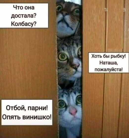 Юмор в картинках и без