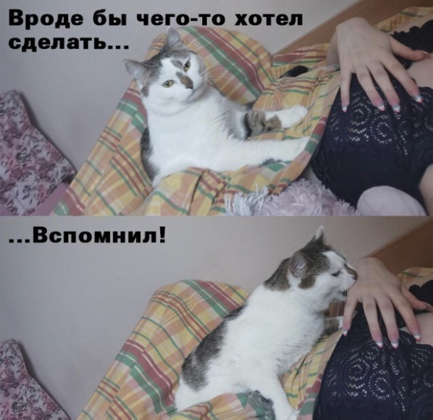 Картинки и мемы для настроения - 125