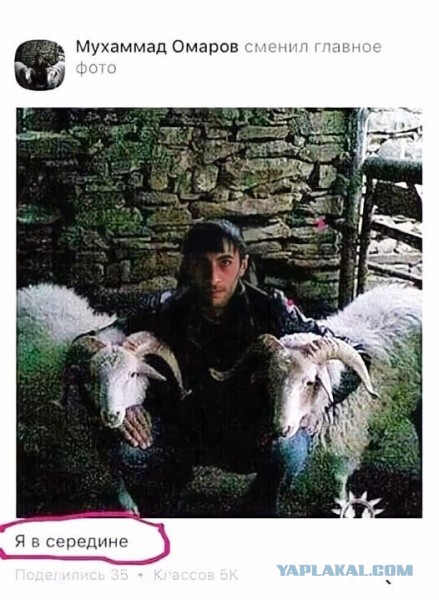 Беги быстрее, шаурма