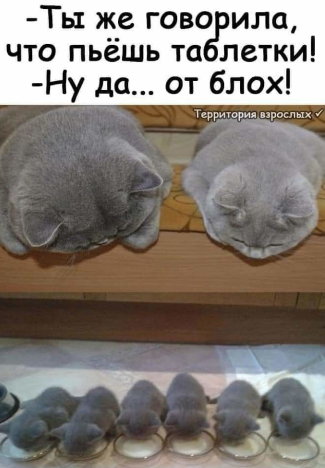 Не болейте!