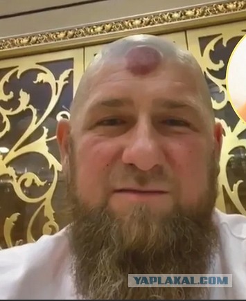 Кто бы сомневался!…