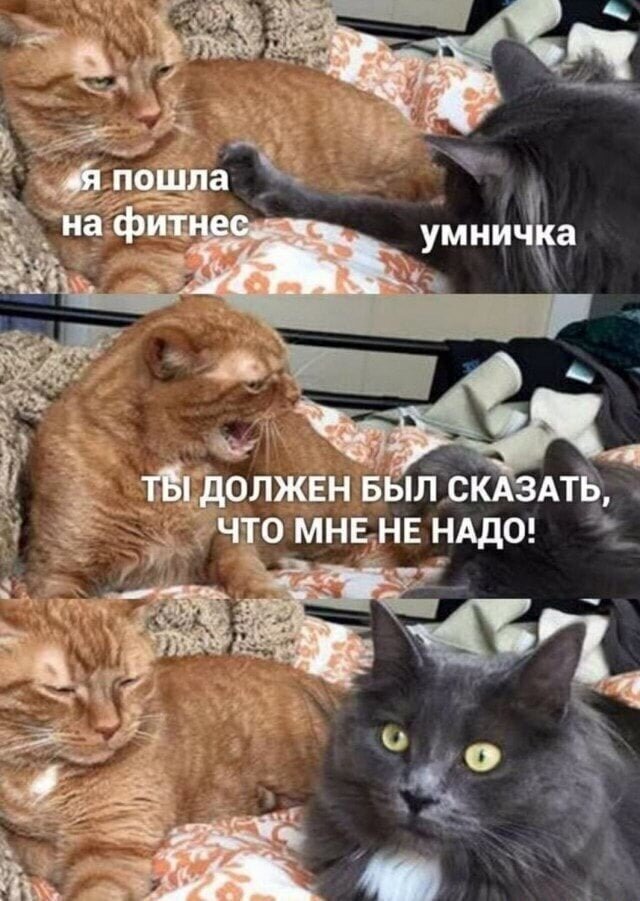 Народная меДИЧина 5002