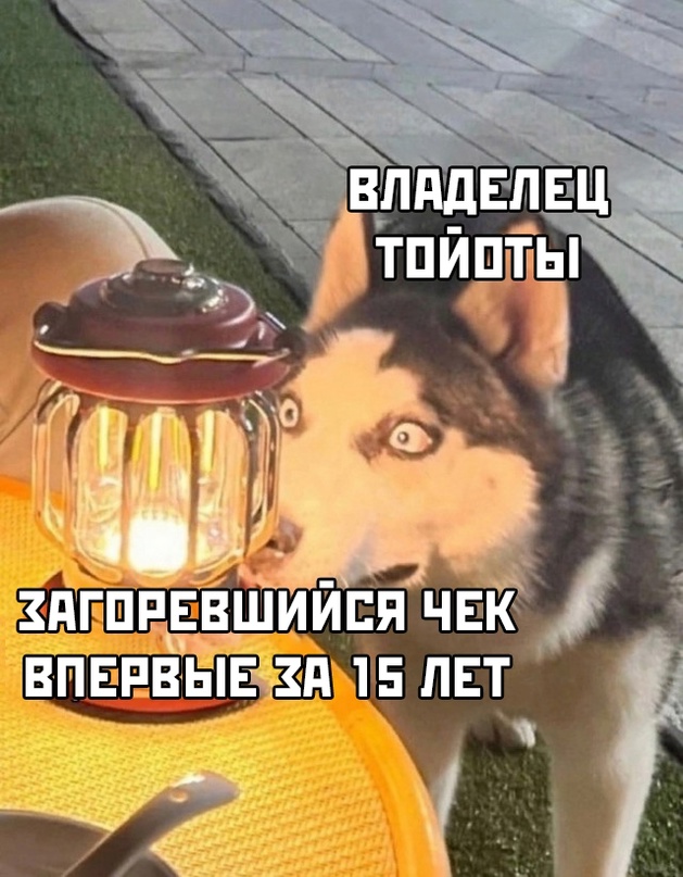 Весёлый полтишок 16.07.23