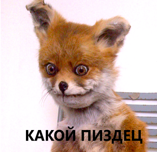 Японец потратил два миллиона йен (около 900 тысяч рублей) на реалистичный костюм собаки породы колли