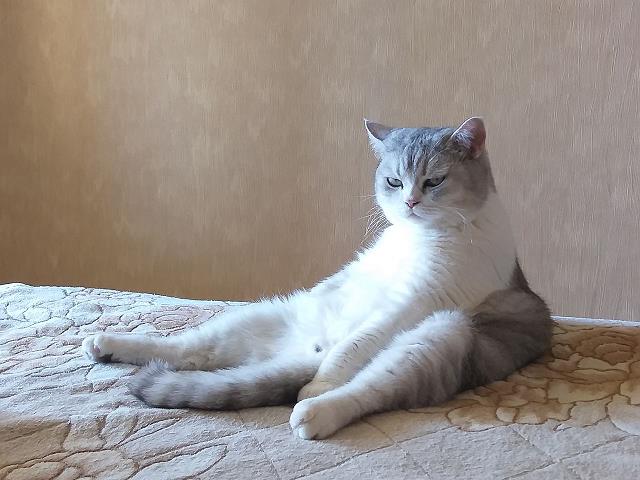 Ну вот и я стал рабом.