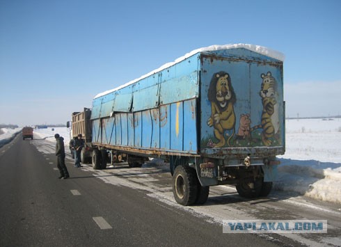 За кулисами цирка